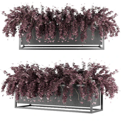 Collection plant vol 15 — Вид 4