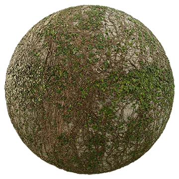 creeping fig wall 001 — Скачать