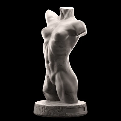 Female torso — Вид 1