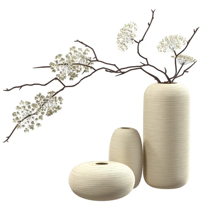 Bouquet of flowering branches in ceramic vases — Ver 5