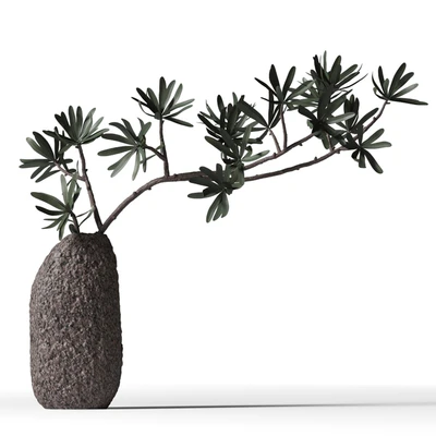 Podocarpus branch in a brown clay vase — Ver 1
