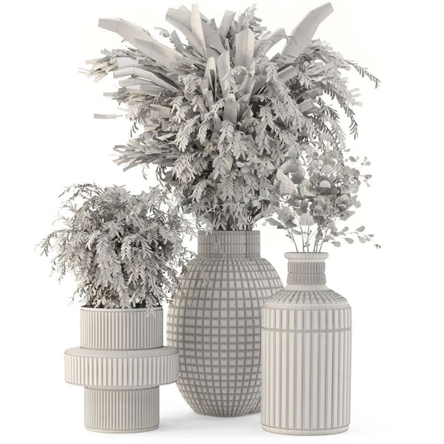 Collection Indoor Plants in Glass Pots - Set 701 — Descargar