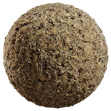 dried grass on bricks 003 — Скачать