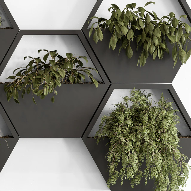 indoor Plant 536 - Hanging Plants — Descargar