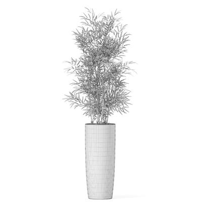 Plants collection 1009 — Вид 5