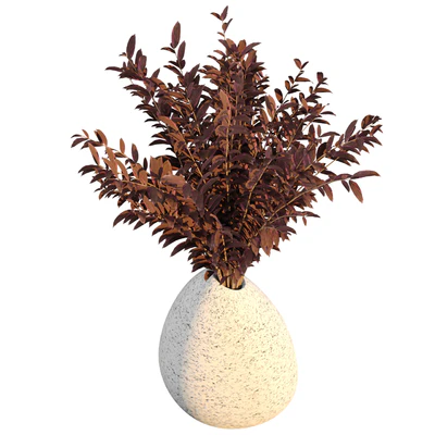 Dry  flower 008 — Вид 5