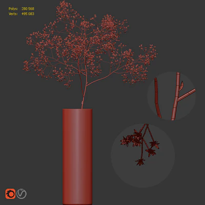 Gypsophila flower in vase / Цветок гипсофила в вазе — Вид 2