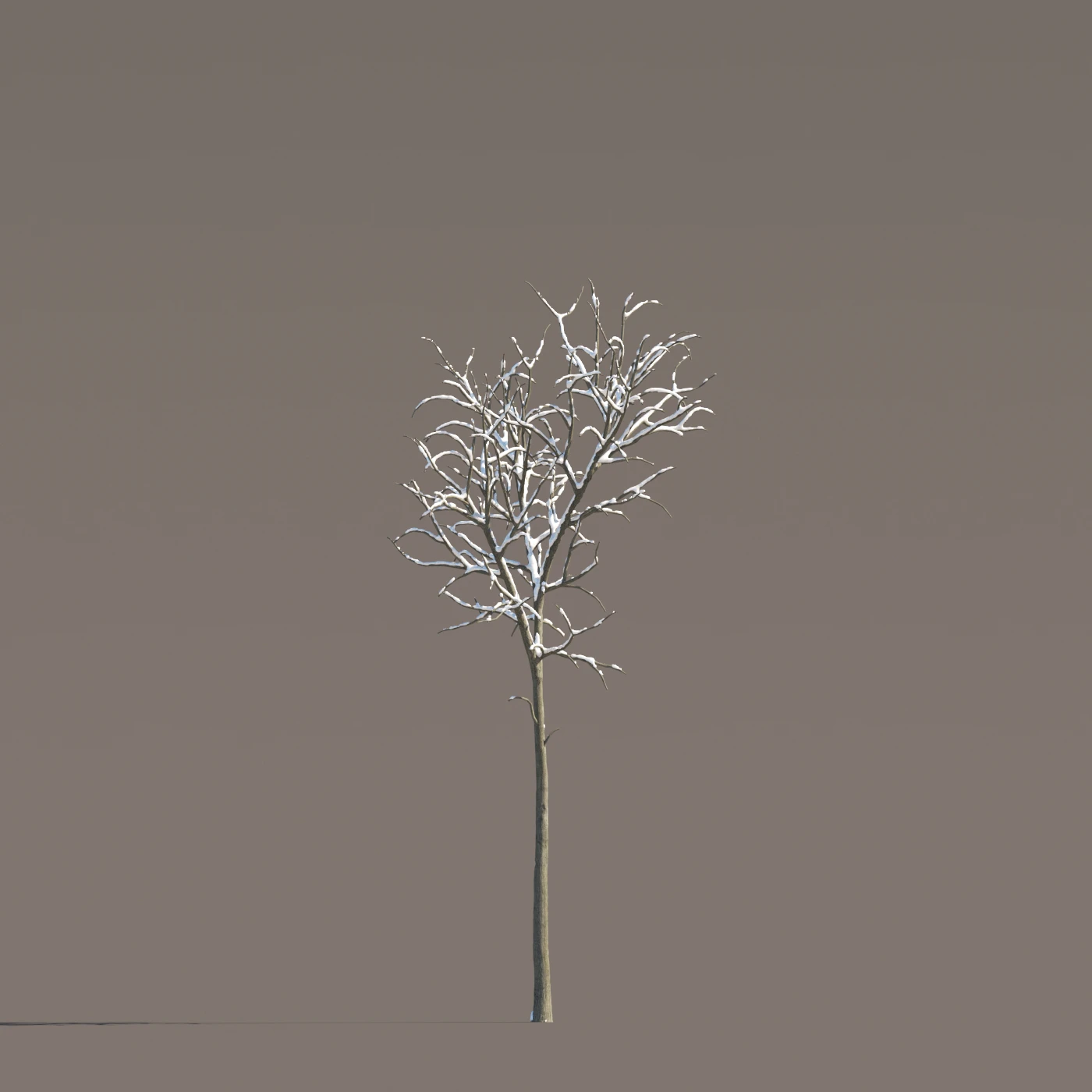 061 winter — Скачать