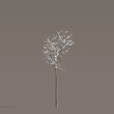 061 winter — Скачать