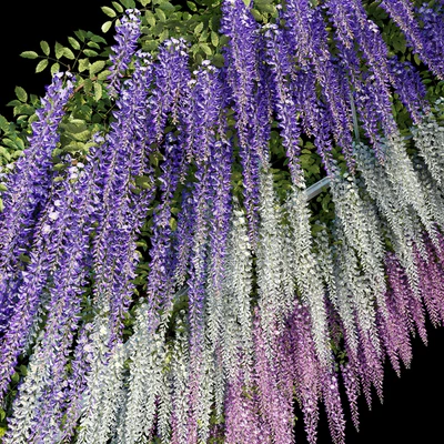 Arch with Wisteria — Ver 6