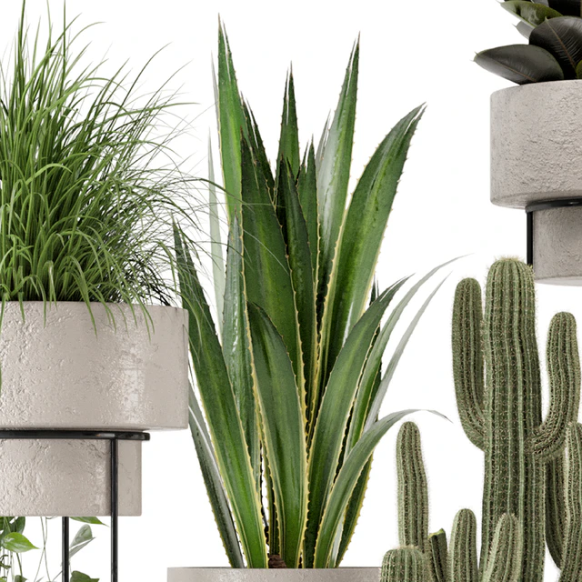 Indoor Plants in rusty Concrete Pot on Metal Shelf - Set 327 — Descargar