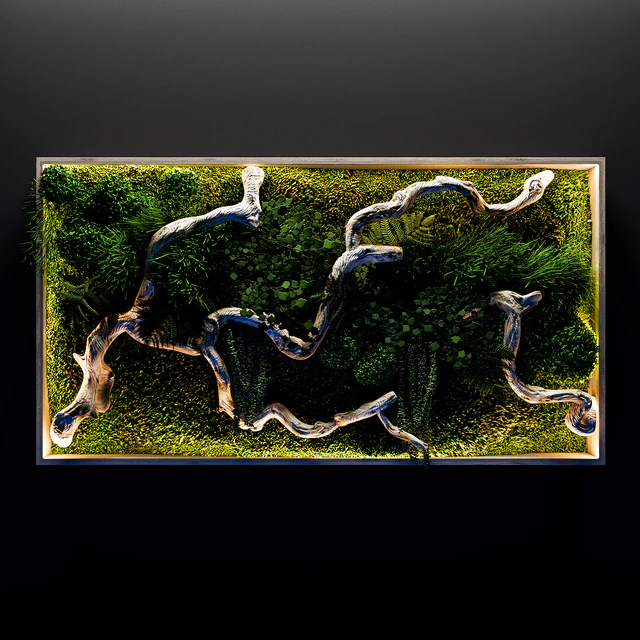 Moss, fern and snag fytowall — Скачать