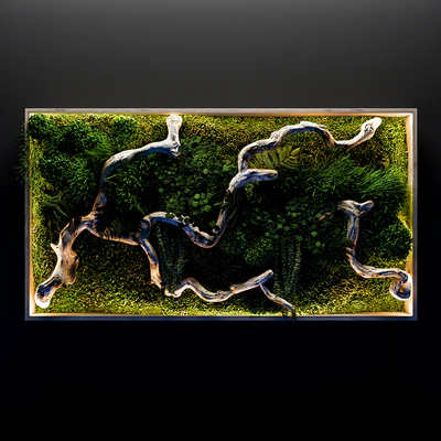 Moss, fern and snag fytowall — Вид 3