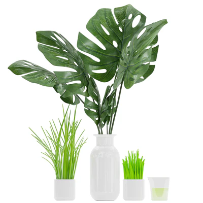 Plant 04 — Ver 1