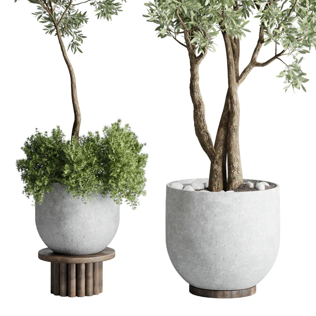 Collection Outdoor Indoor plant 52 concrete dirt vase pot tree — Скачать