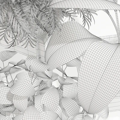 Plants collection 143 Opalo — Вид 3