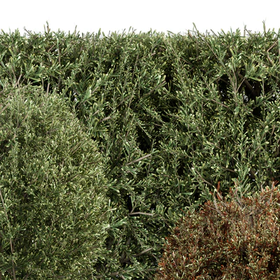 Cube and Circle Bush - Bush Set 18 — Ver 4