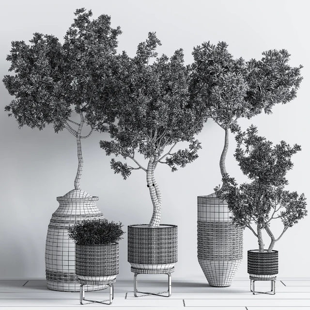Indoor Plant Set11 — Descargar