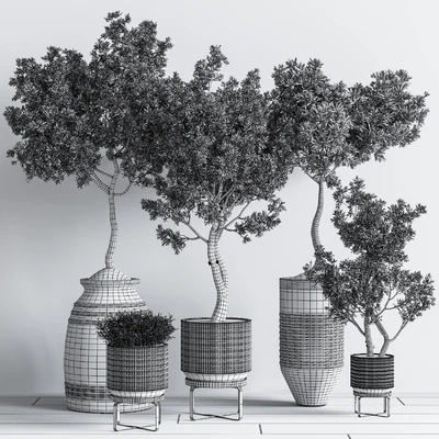 Indoor Plant Set11 — Ver 5