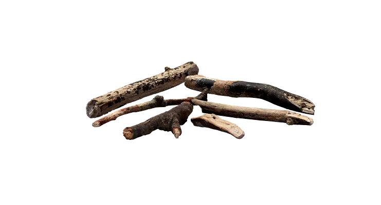 tree debris pack 002 — Скачать