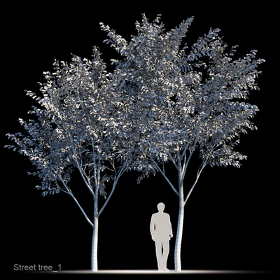 Street tree v1 — Ver 2