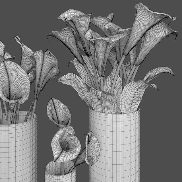 Calla lily — Скачать