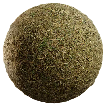 grass dried 052 — Скачать