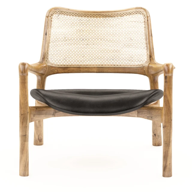 Mad lounge armchair — Descargar