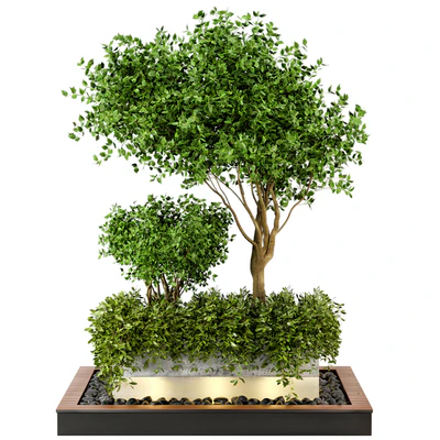 Outdoor Plants bush & Tree Combination of wood & concrete Pot - Garden Set 44 — View 5