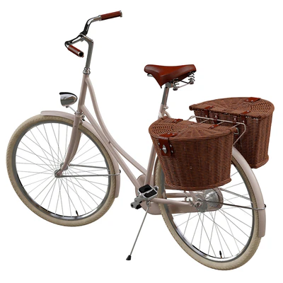 Bicycle for a Lady in two versions — Вид 1