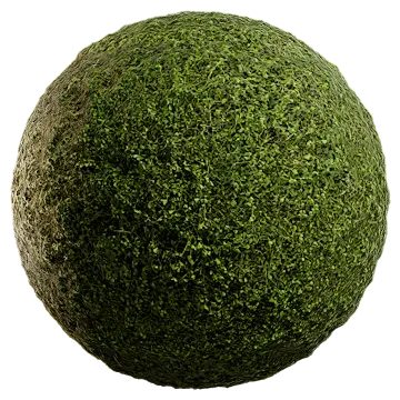 uncut grass 006 — Скачать