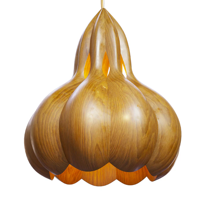 Laszlo Tompa Flower pendant light — Скачать