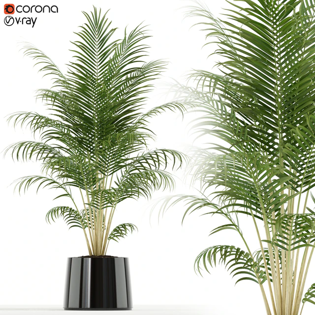 Plants collection 148 — Скачать