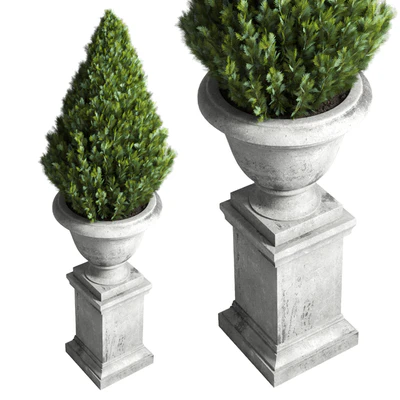 Collection Outdoor plant 44- tree thuja bonsai concrete old classic vase — Вид 6
