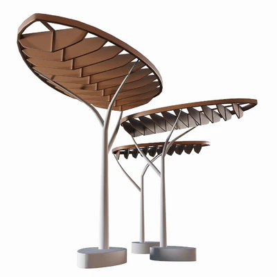 Modern Canopy — Вид 1