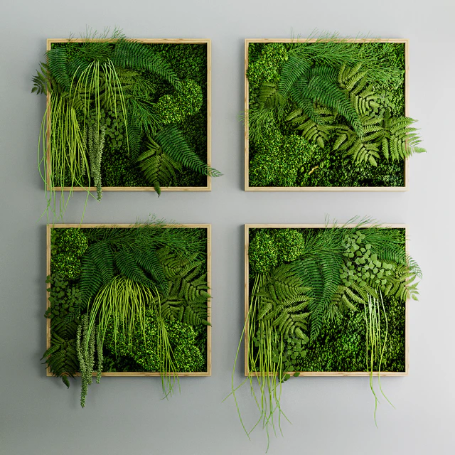 Set of moss and fern phyto modules — Descargar