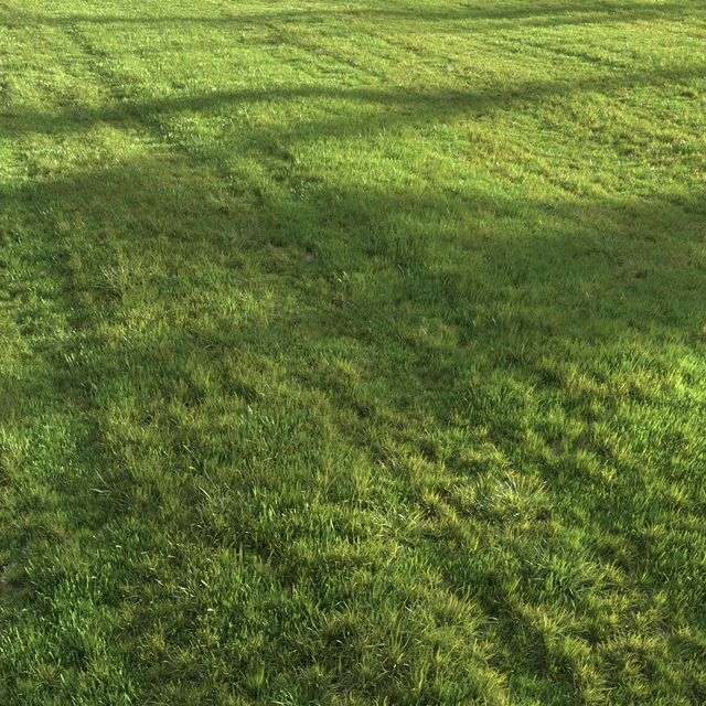 Summer grass — Скачать