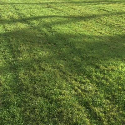 Summer grass — Вид 5