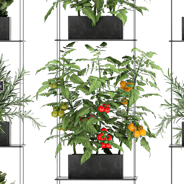 Vertical gardening kitchen garden garden with vegetables, tomatoes, peppers, herbs, lettuce, rosemary. Set 69. — Descargar