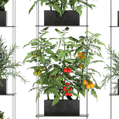 Vertical gardening kitchen garden garden with vegetables, tomatoes, peppers, herbs, lettuce, rosemary. Set 69. — Ver 7