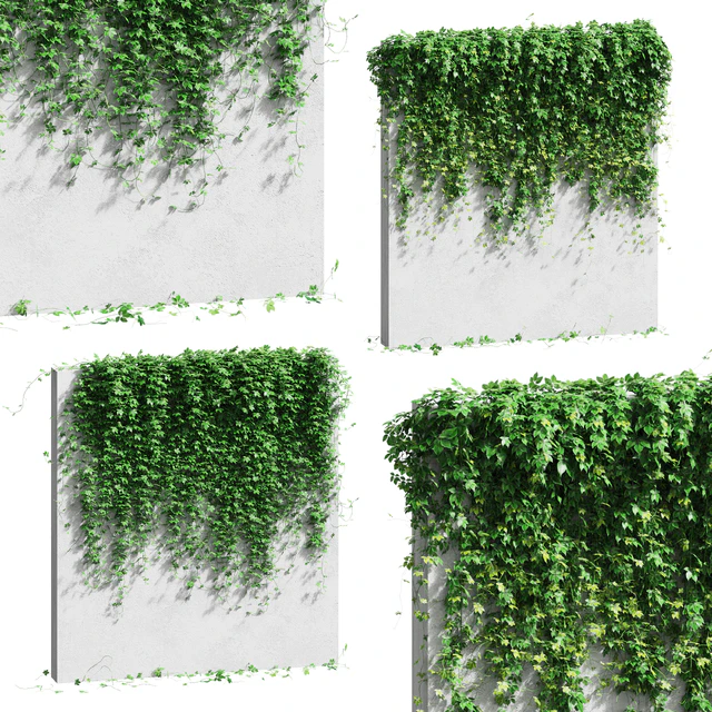 Wall with grape leaves — Descargar