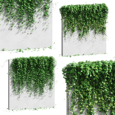Wall with grape leaves — Ver 1