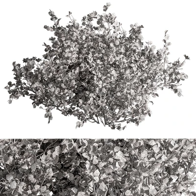 Creeper Yellow Flower - Bush Set 112 — Вид 3