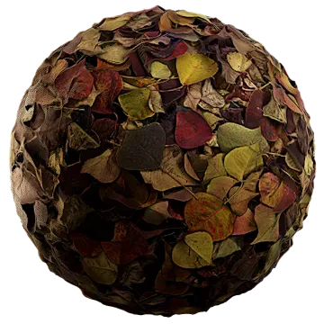 dried leaves 028 — Descargar