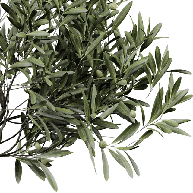 indoor Plant 289 — Скачать
