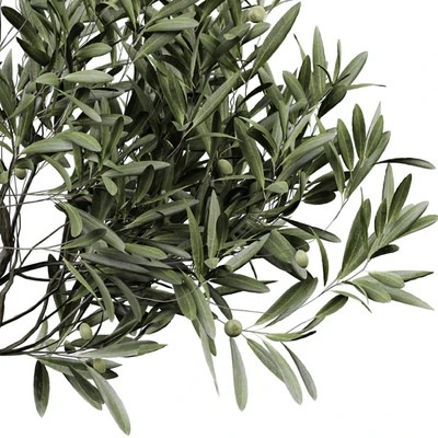 indoor Plant 289 — Вид 4