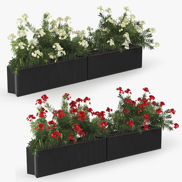 Flowerbed Nerium — Descargar