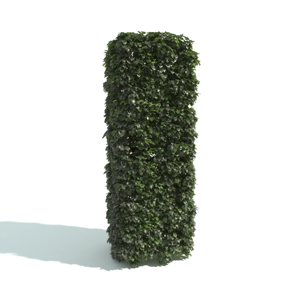 hedges 007 — Descargar