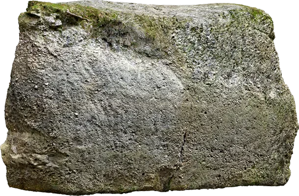 forest rock wall 003 — Скачать