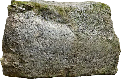 forest rock wall 003 — Скачать
